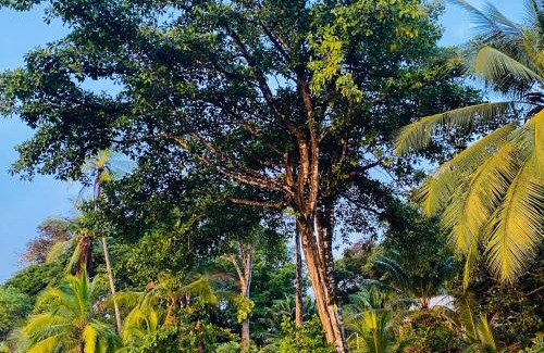 Bahía Drake Apartamento | Vida Buena