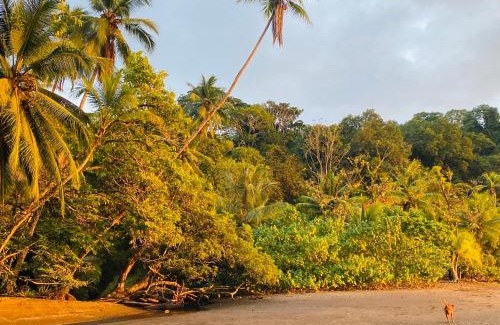 Bahía Drake Apartamento | Vida Buena