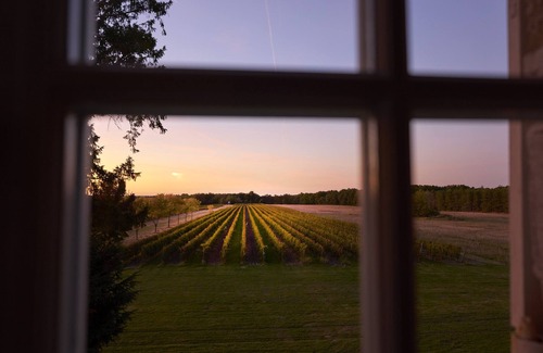 Espiens Cabaña | Vignes Cottage - Château de Mazelières
