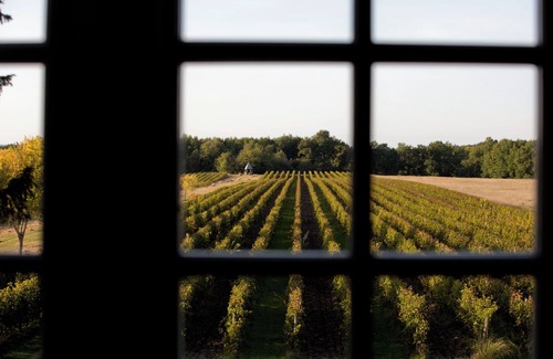 Espiens Cabaña | Vignes Cottage - Château de Mazelières