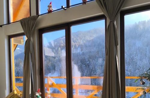 Bajina Basta Casa | VILA ANÐELIJA Zaovine