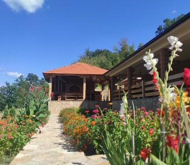 Bor Apartamento | Vila Vera Borsko Jezero
