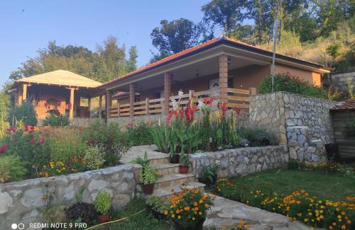 Bor Apartamento | Vila Vera Borsko Jezero