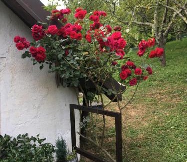 Kanal Casa | Vilijev Raj, a property with cottage in the countryside