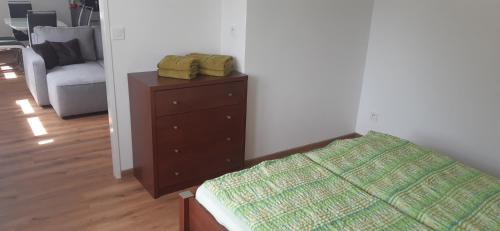 Frantiskovy Lazne Apartamento | Villa Appartements
