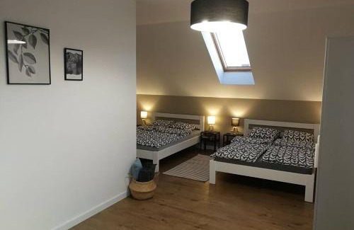 Mikolajki Villa | Villa Corvus Mikołajki - Dom apartamentowy