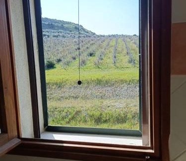 Sorso Casa | Villa del Gheppio