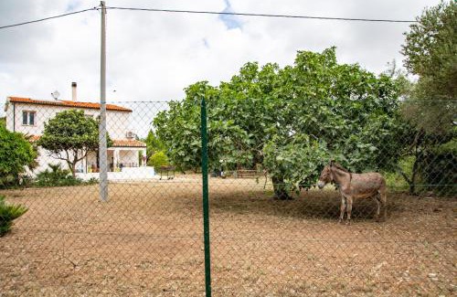 Sassari Casa | Villa del Lupo