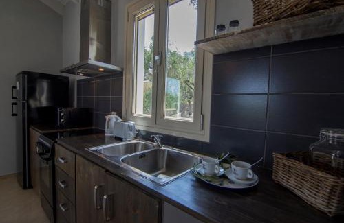 Ieromonachos Apartamento | Villa Elaia Suites & Apartments No.6