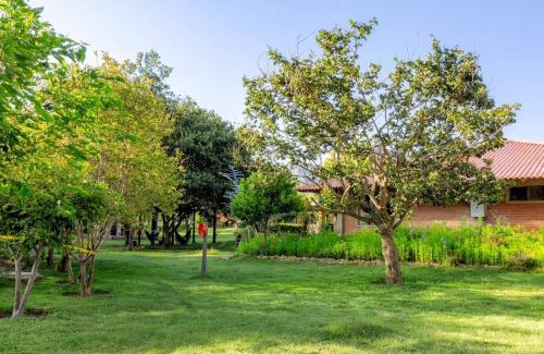 Toro Toro Hotel | Villa Etelvina