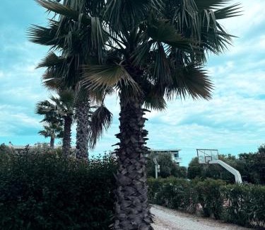 Afytos Casa | Villa Evita , penthouse, 53m2 ,Athytos , astonishing sea view