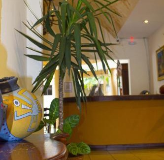 Villa Fontana Hotel | Villa Fontana Nesthost Stays