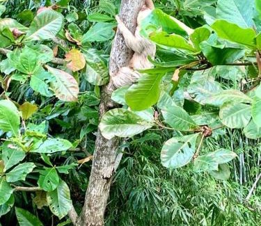 Aguas termales de Arenal Villa | Villa Heliconia by Arenal Heights