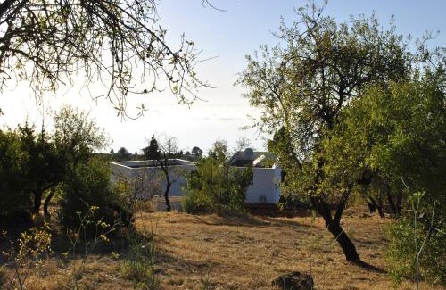 Puntagorda Villa | VILLA HORIZONTE