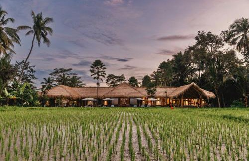 Melayang Hotel | Villa Jepun