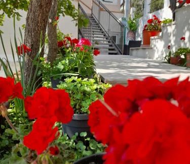 Boreti Hotel | " Villa Kruna Lux "