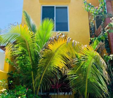 Barra de Navidad Casa | Villa La Joya
