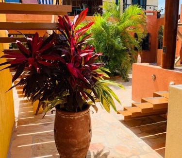 Barra de Navidad Casa | Villa La Joya
