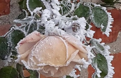 Jurgenshagen Apartamento | Villa Landchic - Apartment house Landidyll - Exclusive holiday apartment Landchic