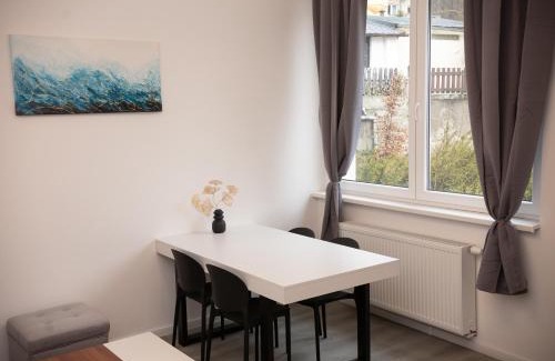 Karlovy Vary Apartamento | Villa Leopold - apartmánový dům