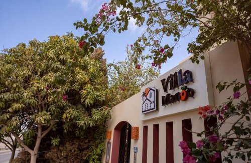 New Cairo Hotel | Villa Mango Hotel, near the American University in Cairo, AUC, New Cairo