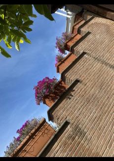 Nettuno Casa | VILLA MARIPOSA