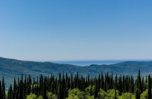 Vodovađa Villa | Villa Mateo with Private Pool