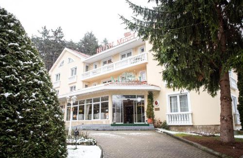 Veszprem Hotel | Villa Medici Hotel & Restaurant