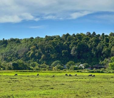 Pantai Tengah Villa | Villa Meranti - Spacious Private Pool Villa
