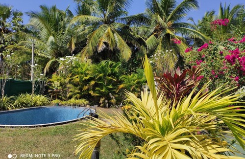 Kammala Casa | Villa Nemo