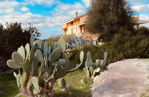 Olmedo Apartamento | Villa Pala - Piano terra: Appartamento Erica