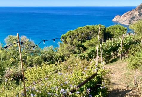 Monterosso al Mare Casa | Villa Pietrafiore