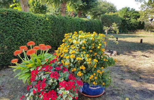 Koserow Apartamento | Apartamento con jardín Villa Romantica, a 300 m del mar Báltico, WLAN - Apartamento con jardín Villa Romantica