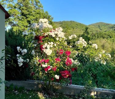 Fognano Casa | Villa Romeo - the suitable one!