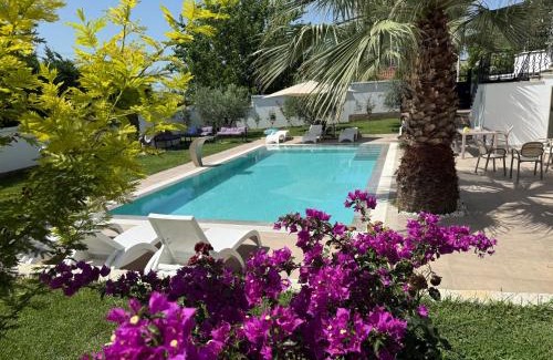 Elbasan Villa | Villa Salo