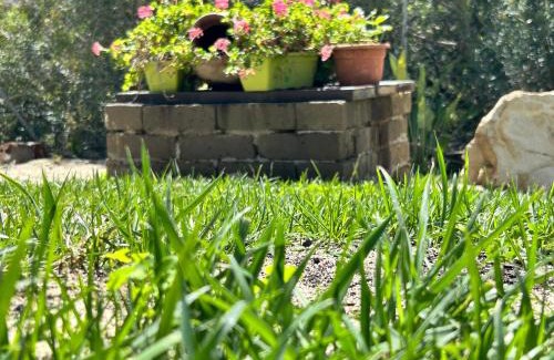 Maracalagonis Casa | Villa SuReu