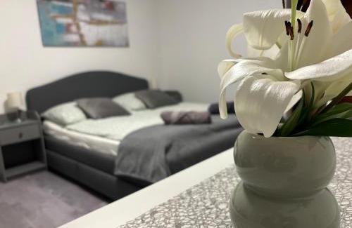 Buk Apartamento | Villa Tara Bük