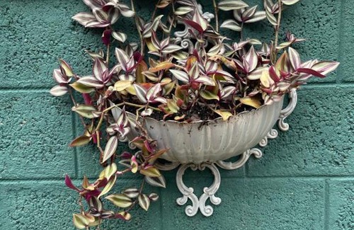 Kaluwamodara Cama Y Desayuno | Villa V