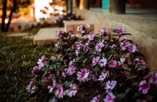 Tiradentes Cabina | Villa Vinil