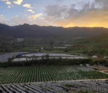 Dieng Apartamento | Villa xwetan view prau