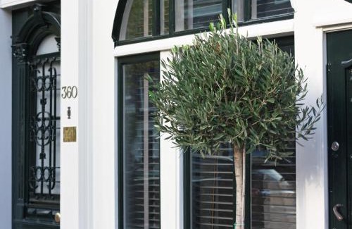 Jordaan Casa | Villa360