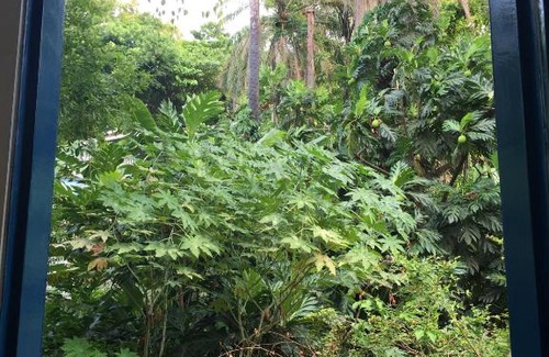 Morro de Sao Paulo Casa | Villas Paraná