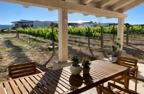 Parras de la Fuente Villa | Vinícola Parvada Villa 8 servicio tipo hotel