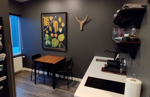 Downtown Apartamento | Vintage Apartment Hotel