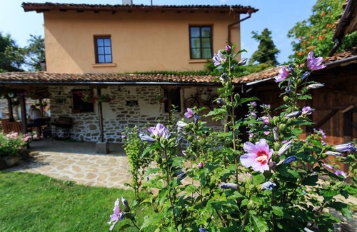 Malki Chiflik Apartamento | Vintage Studio