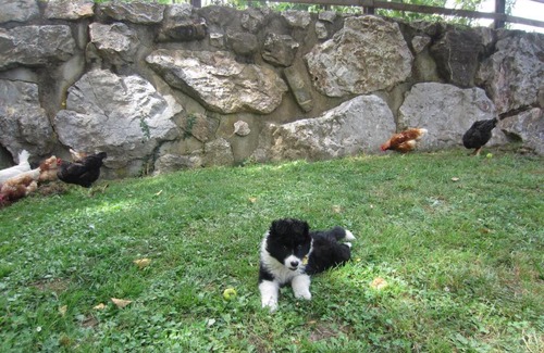 Frama Apartamento | Viviendas El Barrio