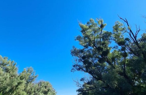 Vojvodina Apartamento | Vojkić Ranč