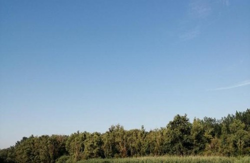 Vojvodina Apartamento | Vojkić Ranč