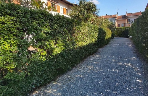 Querceta Apartamento | Vrbo Property