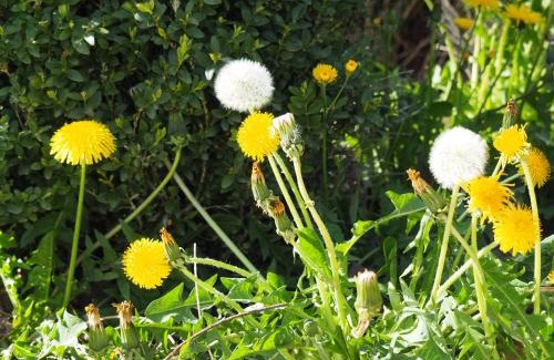 Gindou Casa | Vue sur Gindou gîte